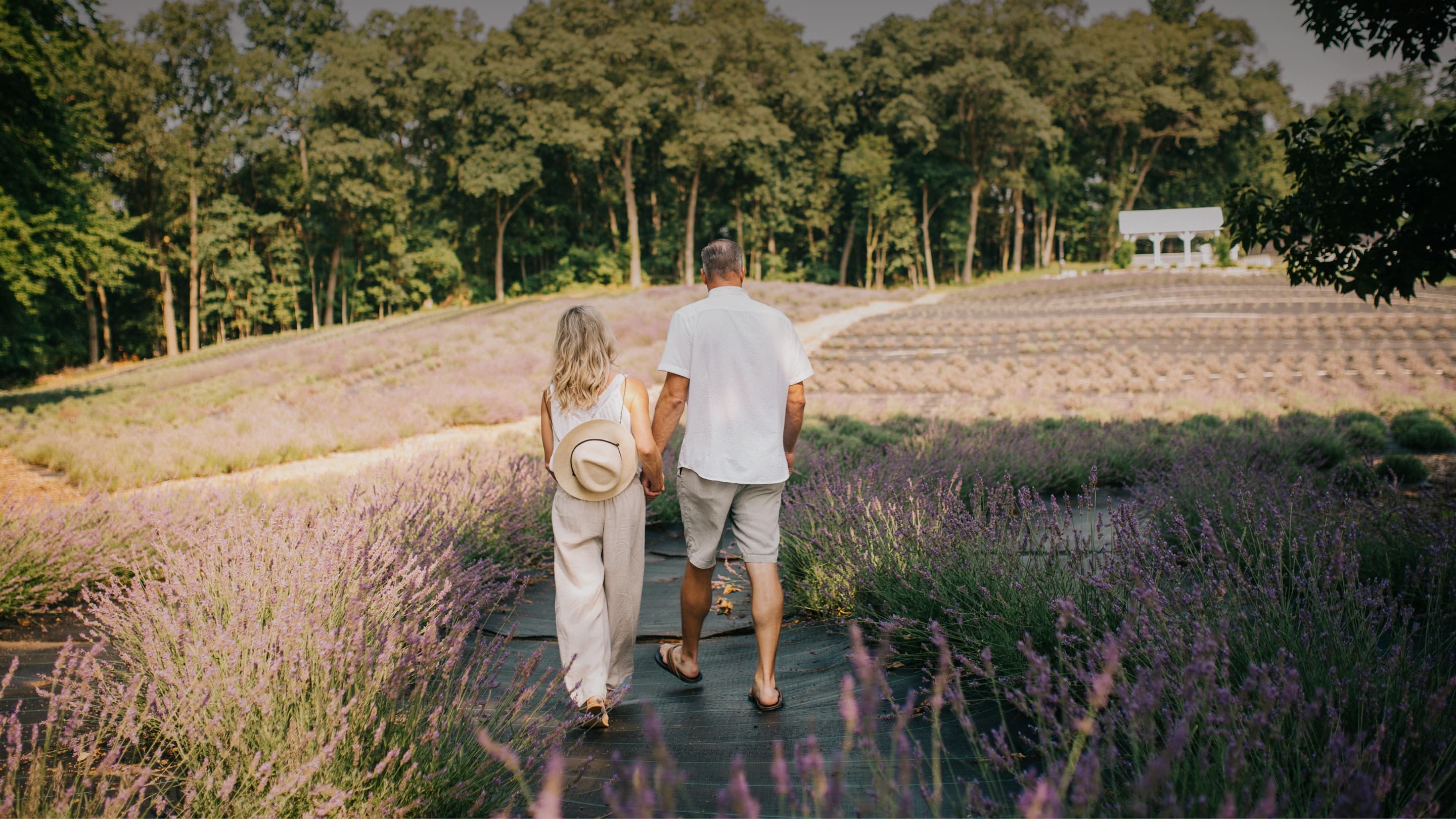 Couple walking between blooming lavender rows at golden hour near Fort Wayne, Indiana