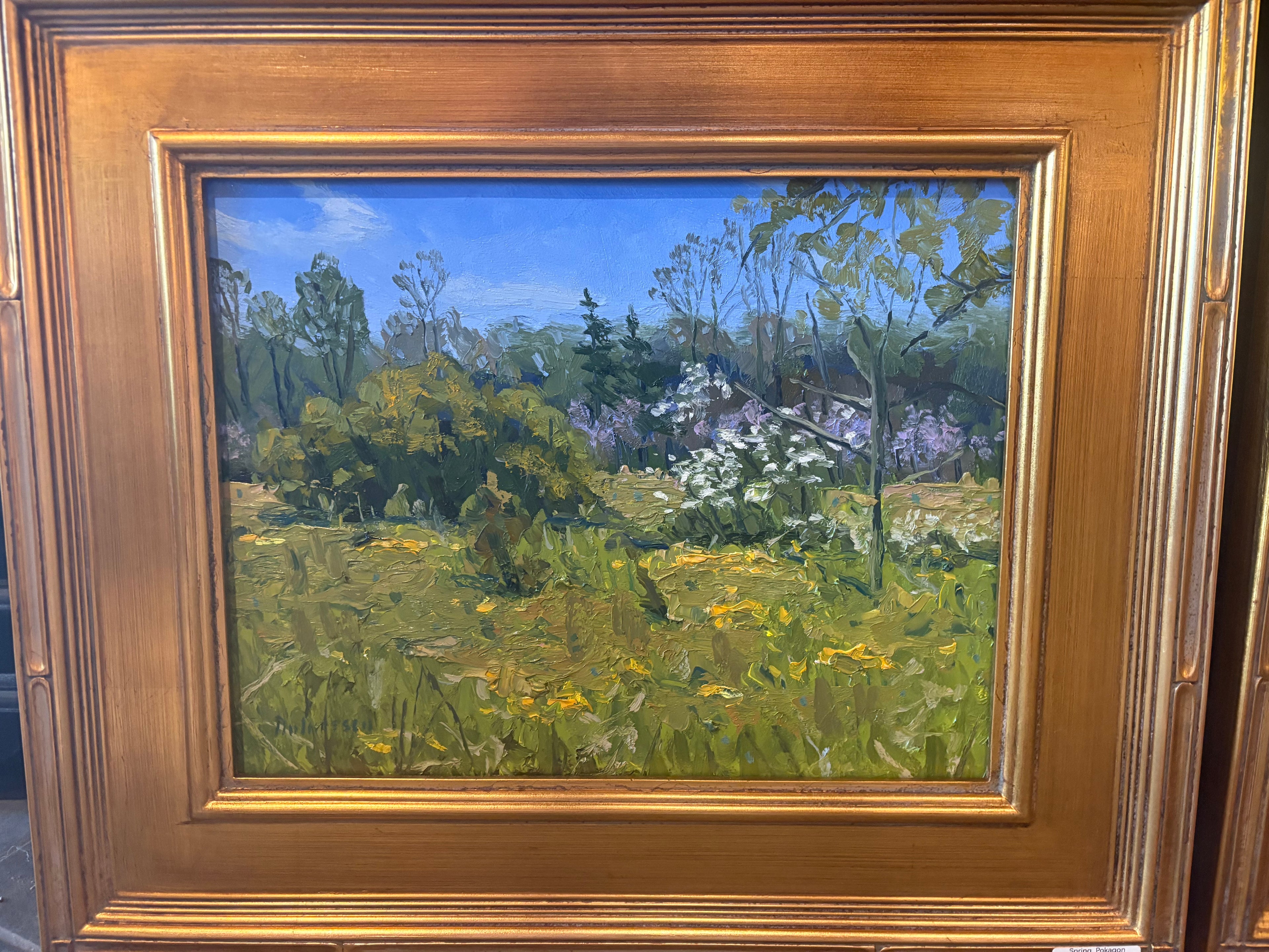Spring Pokagon
